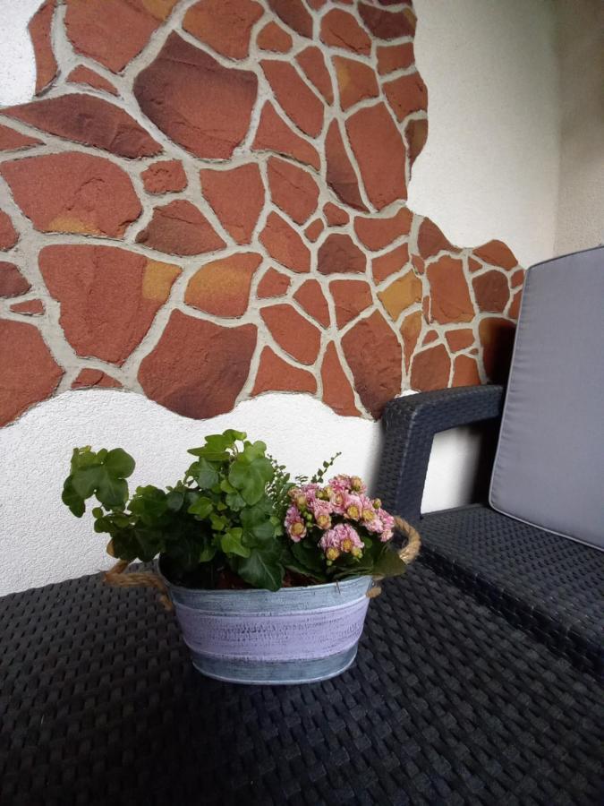 Apartman Erika - Bešeňová Dış mekan fotoğraf